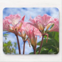 Amaryllis belladonna mouse pads
