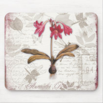 Amaryllis Belladonna Mousepads