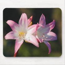 Amaryllis belladonna mouse pad