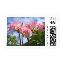 Amaryllis belladonna stamps
