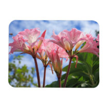Amaryllis belladonna rectangular magnet