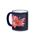 wearartware, digital photography, amaryllis,