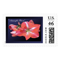 "Amaryllis Bloom" - Dark Blue Stamp by wearartware "Amaryllis Bloom" - Dark Blue Stamp