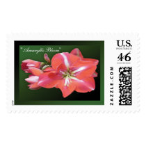 "Amaryllis Bloom" - Dark Green Stamp by wearartware "Amaryllis Bloom" - Dark Green Stamp