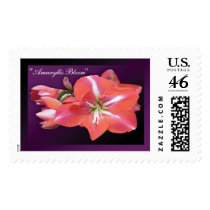 "Amaryllis Bloom" - Dark Purple Stamp by wearartware "Amaryllis Bloom" - Dark Purple Stamp