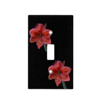 Amaryllis Blooms on Black Light Switch Cover