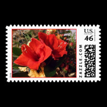 Amaryllis Bouquet postage by kokobaby Amaryllis Bouquet postage