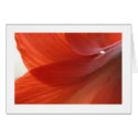 Amaryllis cards