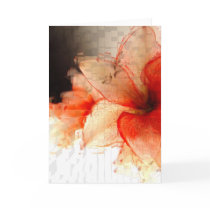 Amaryllis cards