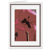 Amaryllis cards
