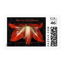 Amaryllis Christmas Postage