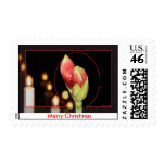 Amaryllis Christmas Postage Stamps