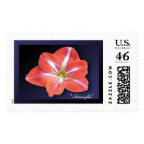 "Amaryllis" - Dark Blue Stamp by wearartware "Amaryllis" - Dark Blue Stamp