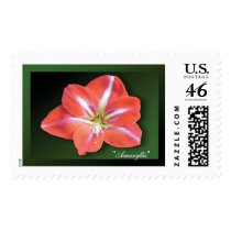 "Amaryllis" - Dark Green Stamp by wearartware "Amaryllis" - Dark Green Stamp