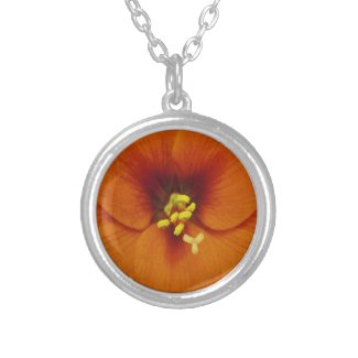 Amaryllis Flower Orange Round Pendant Necklace
