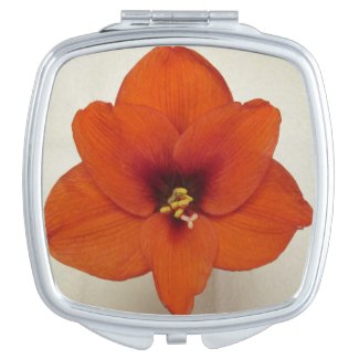 Amaryllis Flower Plant Compact Mirrors