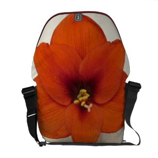 Amaryllis Flower Plant Courier Bag