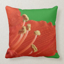 Amaryllis Flower Throw Pillow pillows