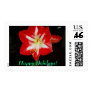 amaryllis, Happy Holidays!