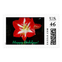 amaryllis, Happy Holidays! Stamp