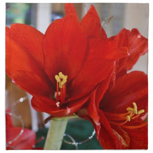 Amaryllis in Bright Red napkin