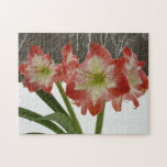 Amaryllis in Snow I Red Holiday Winter Floral Puzzle