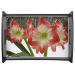 Amaryllis in Snow I Red Holiday Winter Floral Serving Tray