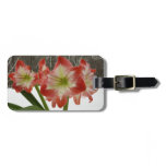 Amaryllis in Snow Winter Floral Tag For Luggage