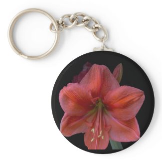 Amaryllis zazzle_keychain