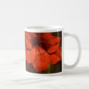 Amaryllis Mug by mlane53 Amaryllis Mug