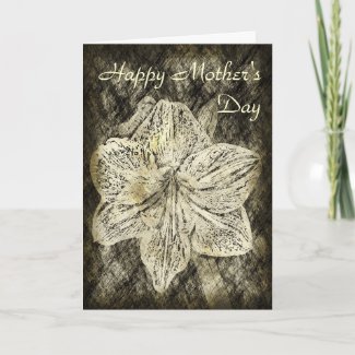 Amaryllis Old Time Sketch zazzle_card