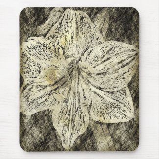 Amaryllis Old Time Sketch zazzle_mousepad