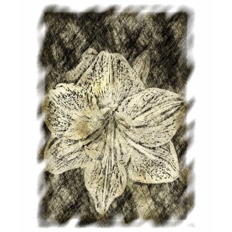 Amaryllis Old Time Sketch zazzle_shirt