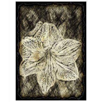 Amaryllis Old Time Sketch zazzle_shirt