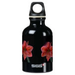 Amaryllis on Black SIGG Traveler 0.3L Water Bottle