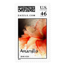 Amaryllis Stamps