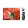 Amaryllis Postage