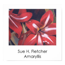 Amaryllis posters