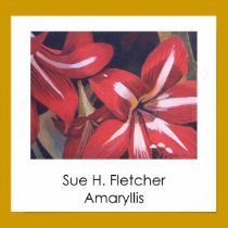 Amaryllis posters