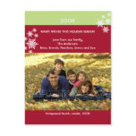 Amaryllis Snowflakes :: Christmas Photo Postcard
