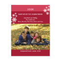Amaryllis Snowflakes :: Christmas Photo Postcard by CSKidsOccasions Amaryllis Snowflakes :: Christmas Photo Postcard