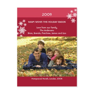Amaryllis Snowflakes :: Christmas Photo Postcard
