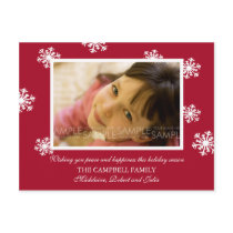 Amaryllis Snowflakes :: Christmas Photo Postcard