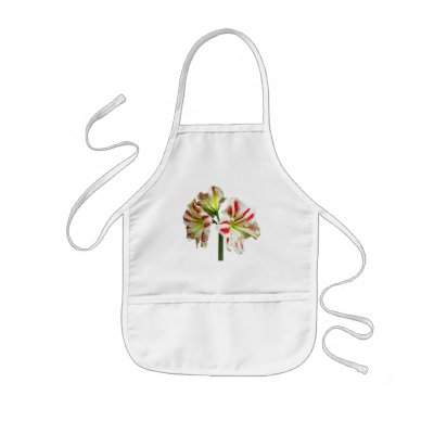 Amaryllis Sydney Aprons by SusanSavad