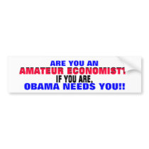 AMATEUR ECONOMIST??  IF SO, ..OBAMA NEEDS YOU! BUMPER STICKER
