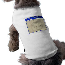 Amateurkobold-Skizze hundekleidung