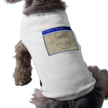 Amateur Leprechaun Sketch Pet Tee Shirt