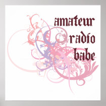Amateur Radio Babe Poster