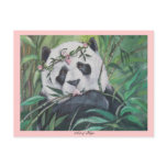 Amato Postcards