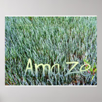 Amaze Poster